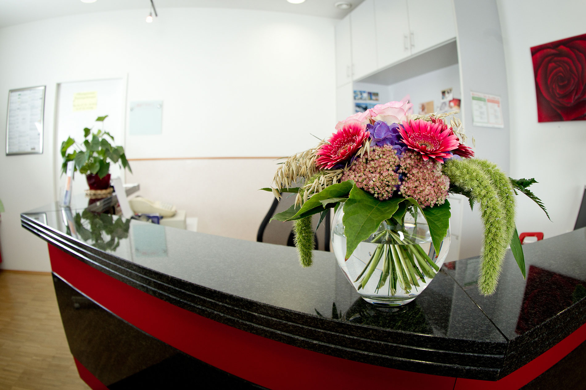 Physiotherapie-Home